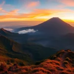 Majestic Mt. Rinjani’s volcanic summit surrounded by lush forests during sunrise, inviting adventure seekers and nature lovers alike.